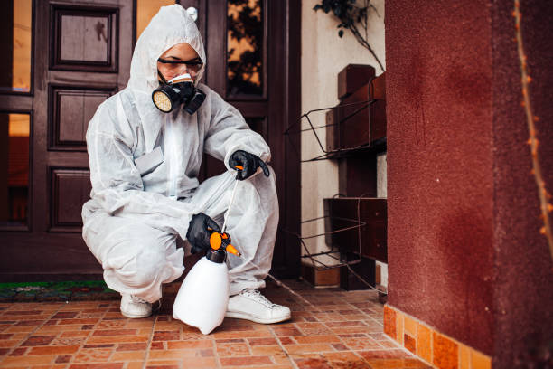 Reliable Cockroach Control contractor in Waycross, GA by Nex Pest Control